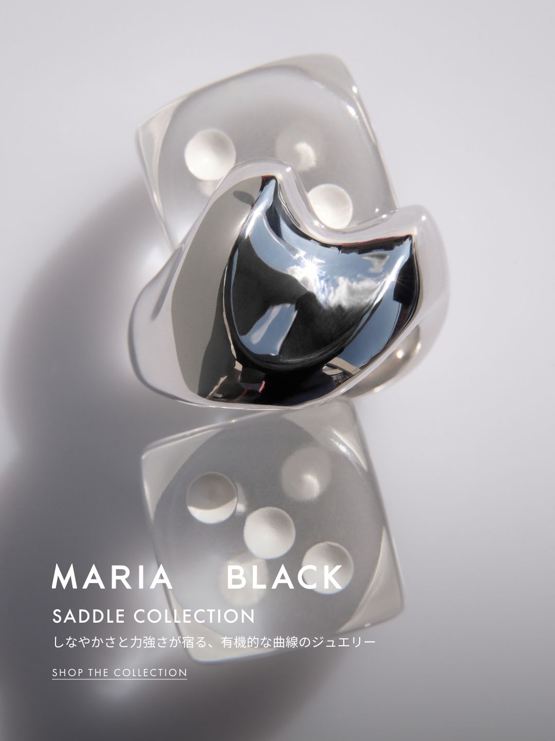 MARIA BLACK SADDLE COLLECTION